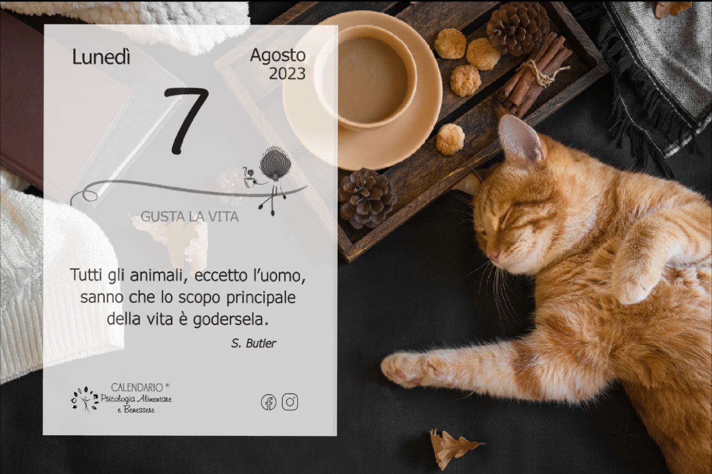 calendario psicologia alimentare 7 agosto 2023